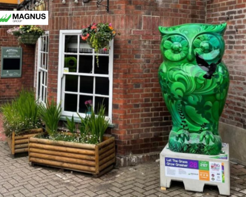 The Big Hoot Art Trail with Mow Magnus